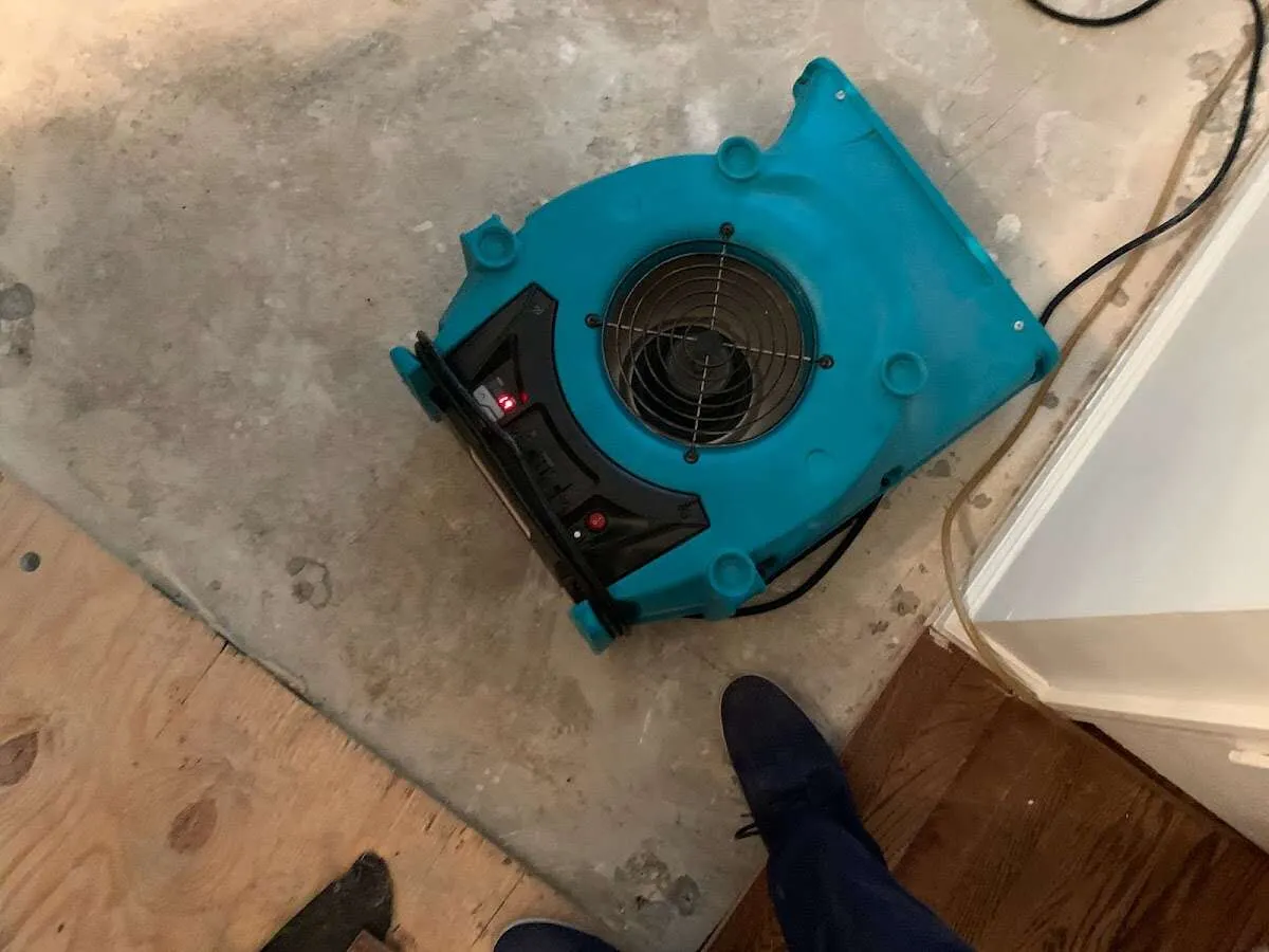 Air mover drying subfloor during Commercial Water Damage Restoration in Bainbridge Island
